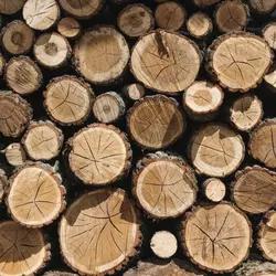 Usługi rębakiem - rozdrabnianie gałęzi